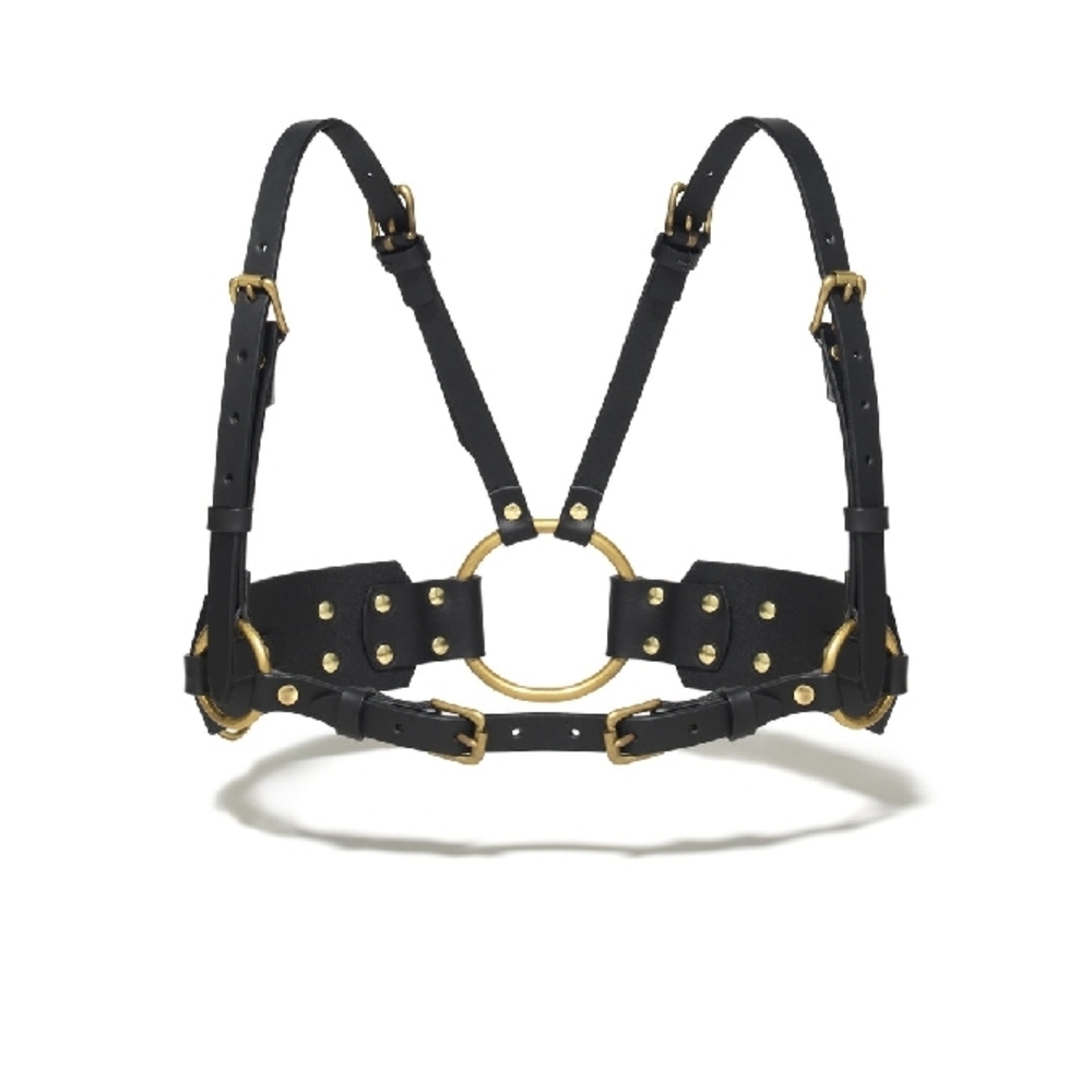 Brass High Waist Harness